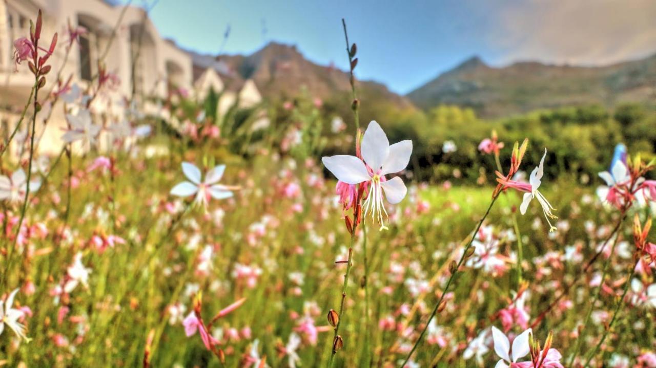 Thelab Cape Town Hotell Hout Bay Eksteriør bilde